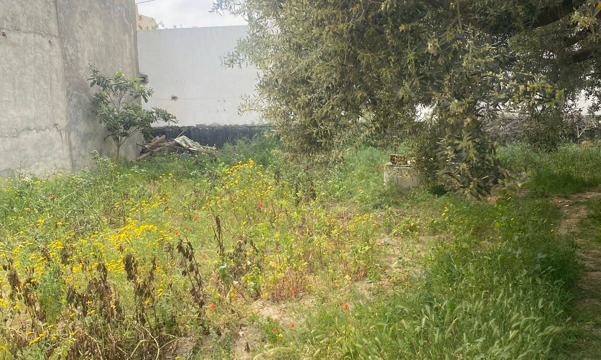 IMG-20250412-WA0176