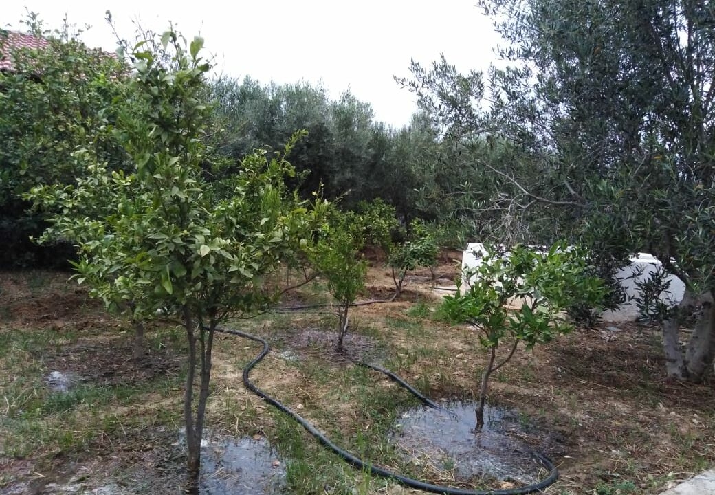 IMG-20250130-WA0096