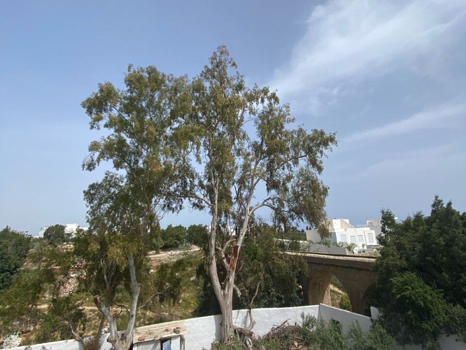 IMG-20250501-WA0007